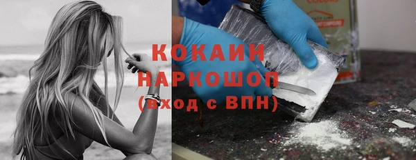 прущие грибы Медногорск