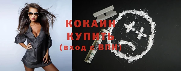 прущие грибы Медногорск