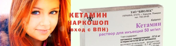 прущие грибы Медногорск