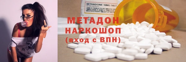 прущие грибы Медногорск