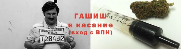 прущие грибы Медногорск
