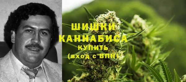 дурь Медвежьегорск