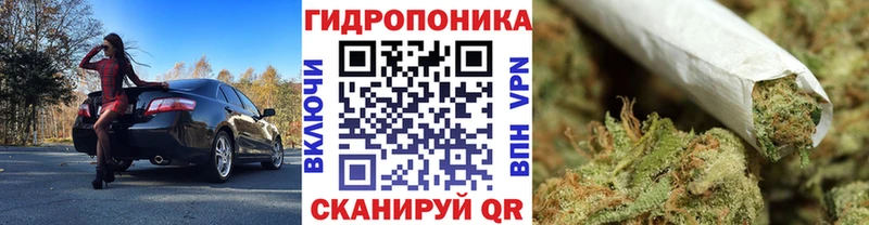 Купить где  Сердобск  Бошки марихуана индика 